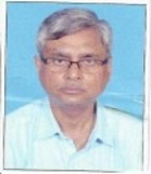 Prof. (Dr.) Raj Narayan Roy